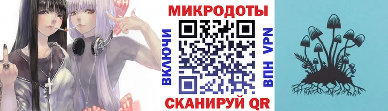 Купить закладки  Гаврилов-Ям  Псилоцибиновые грибы прущие грибы 